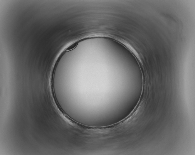 X0000114591197200910191028