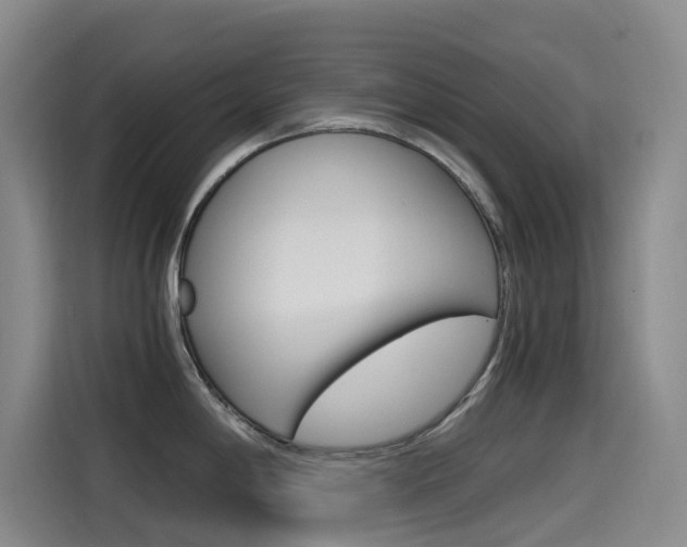 X0000114591198200910191028