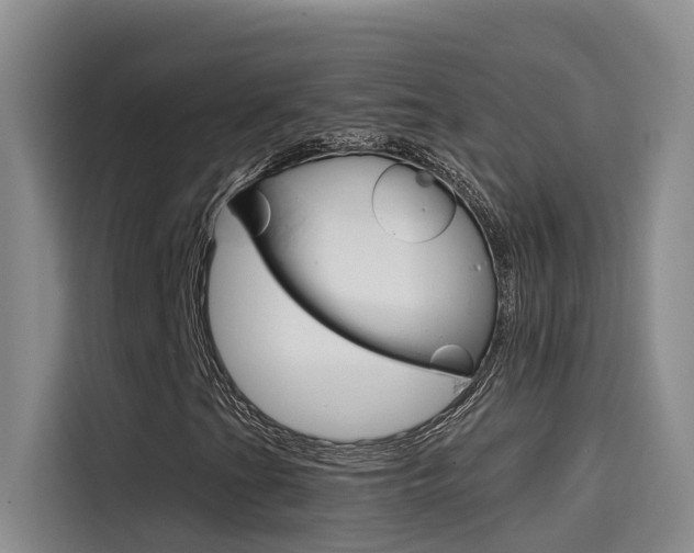 X0000114591201200910191027