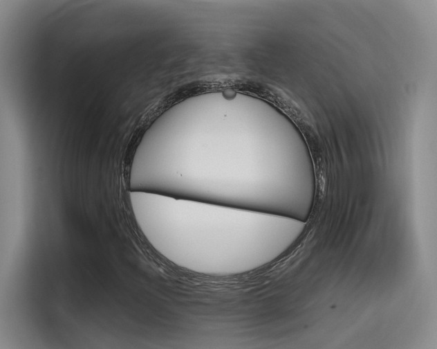X0000114591204200910191027