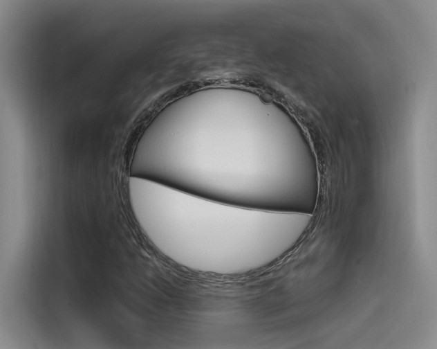 X0000114591206200910191027