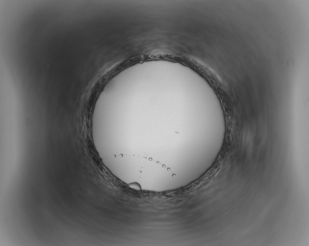 X0000114591207200910191027