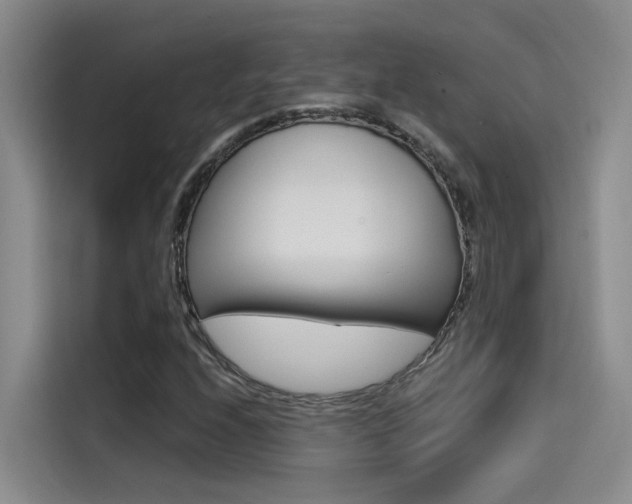 X0000114591208200910191027