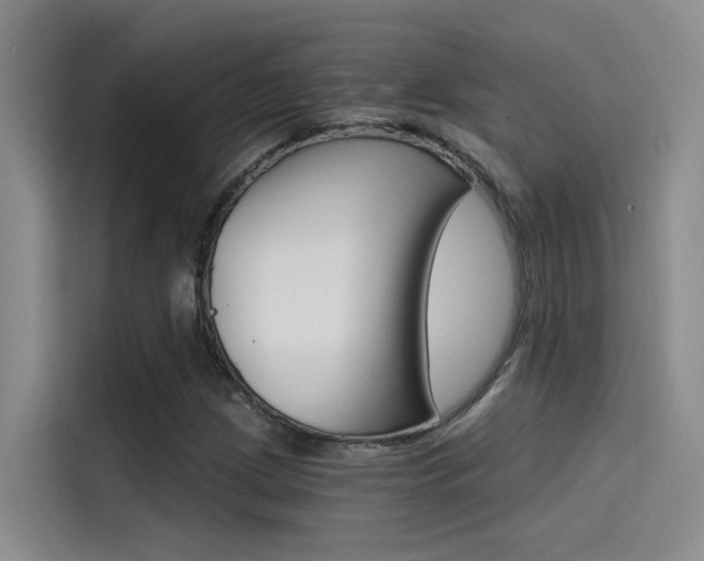 X0000114591209200910191027