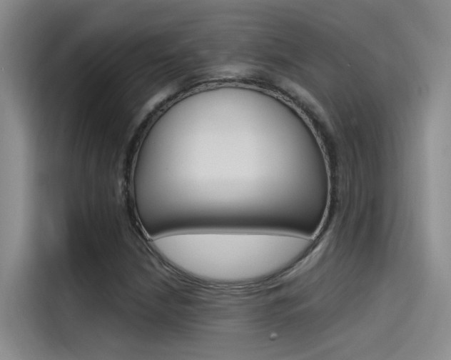 X0000114591210200910191027