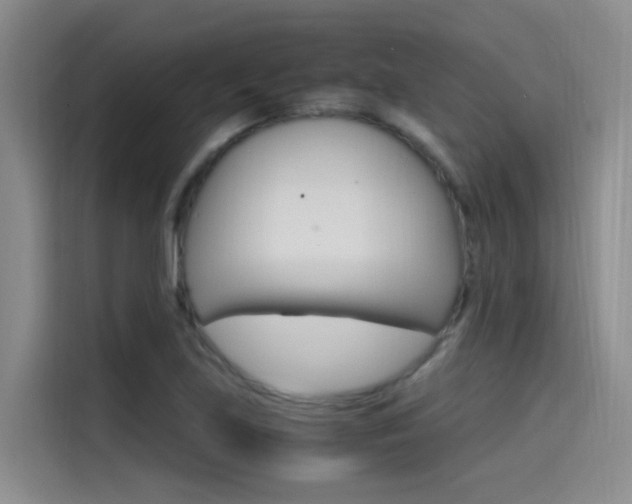 X0000114591219200910191027