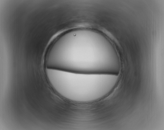 X0000114591222200910191027