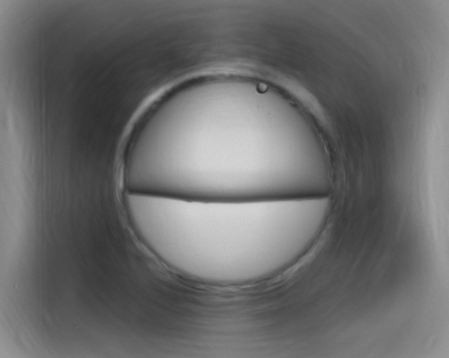 X0000114591224200910191027