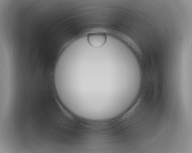 X0000114591225200910191027