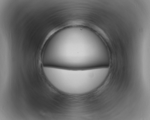 X0000114591226200910191027
