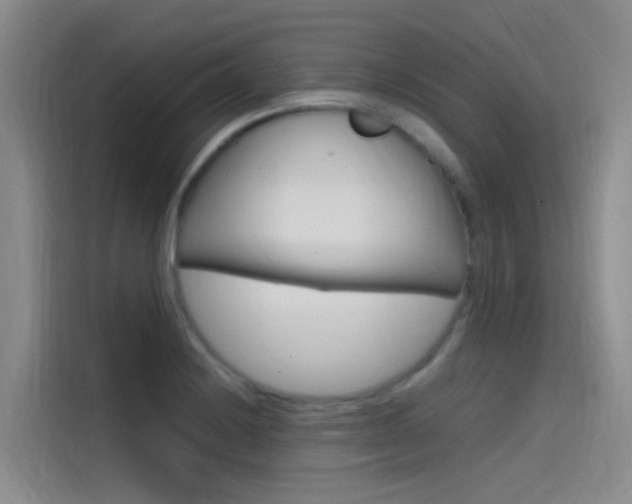X0000114591228200910191027