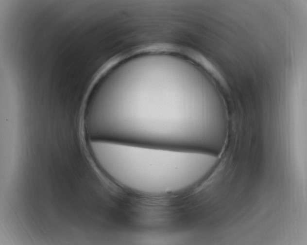 X0000114591229200910191027
