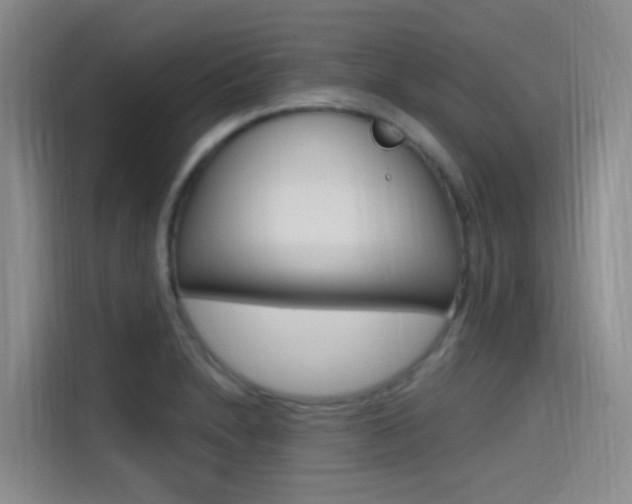 X0000114591230200910191027