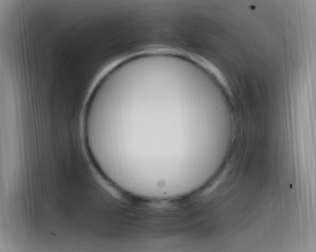 X0000114591231200910191027