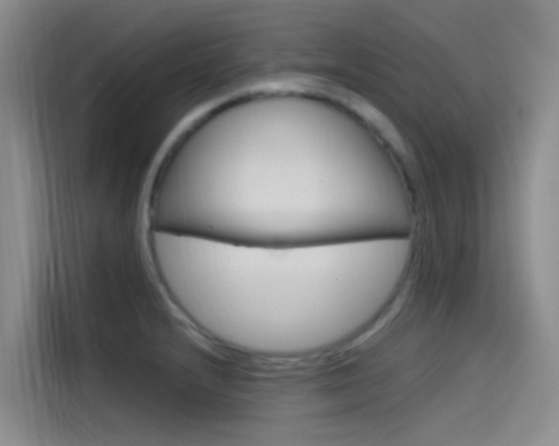 X0000114591232200910191027