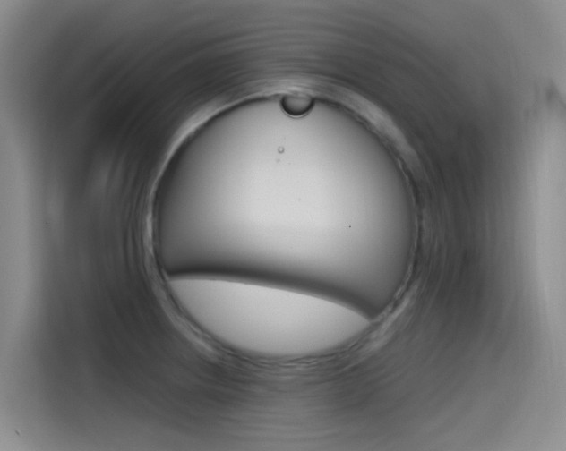 X0000114591234200910191027