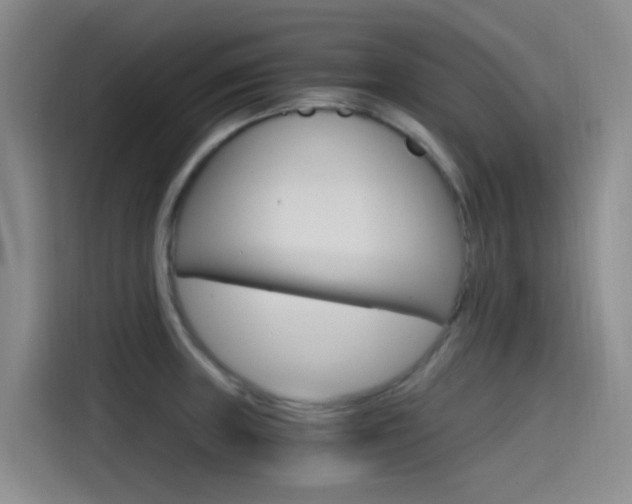 X0000114591235200910191027