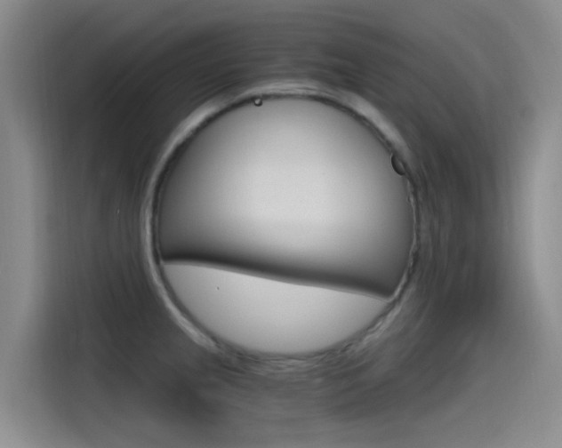 X0000114591237200910191027