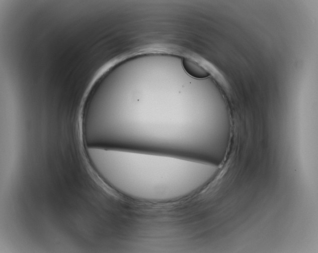 X0000114591238200910191027
