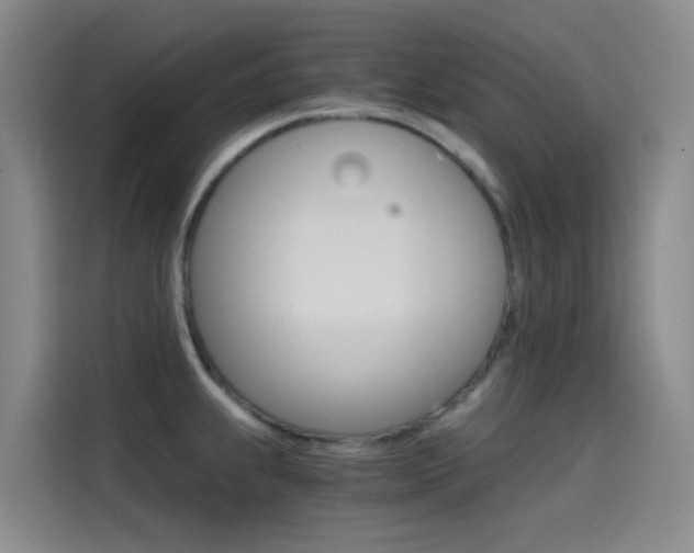 X0000114591239200910191027