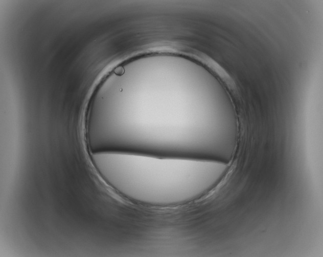 X0000114591240200910191027