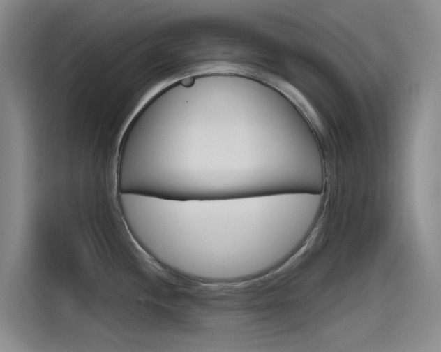 X0000114591244200910191028