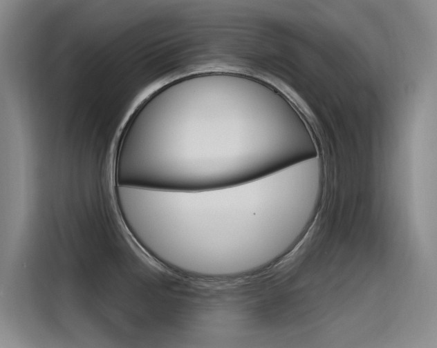 X0000114591246200910191028