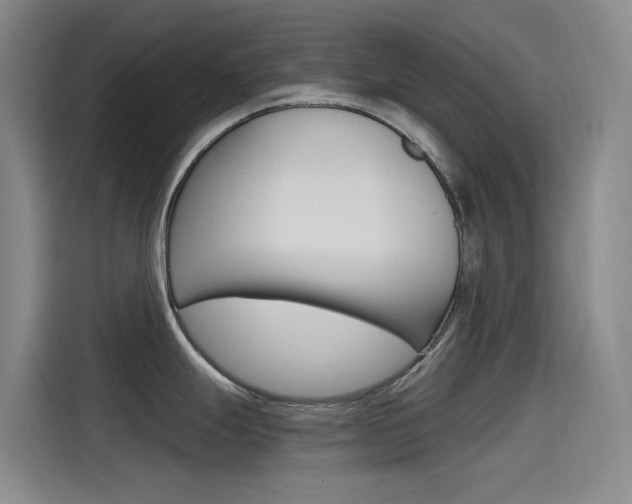 X0000114591247200910191028