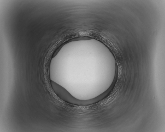 X0000114591249200910191027