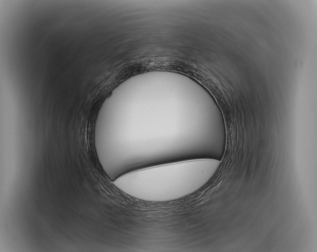 X0000114591250200910191027
