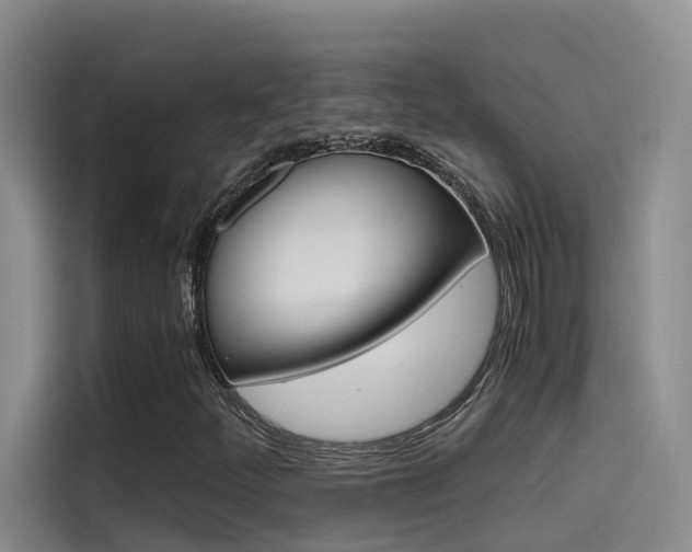 X0000114591252200910191027