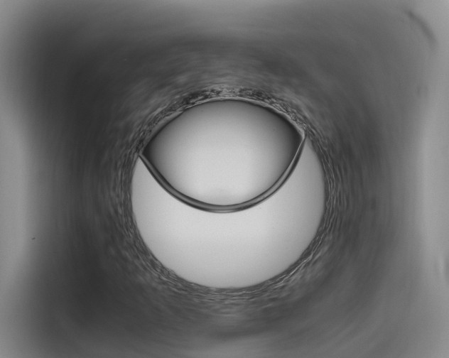 X0000114591253200910191027