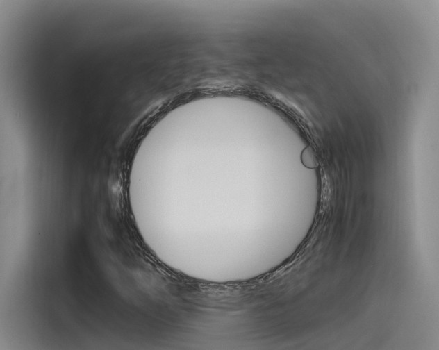 X0000114591254200910191027