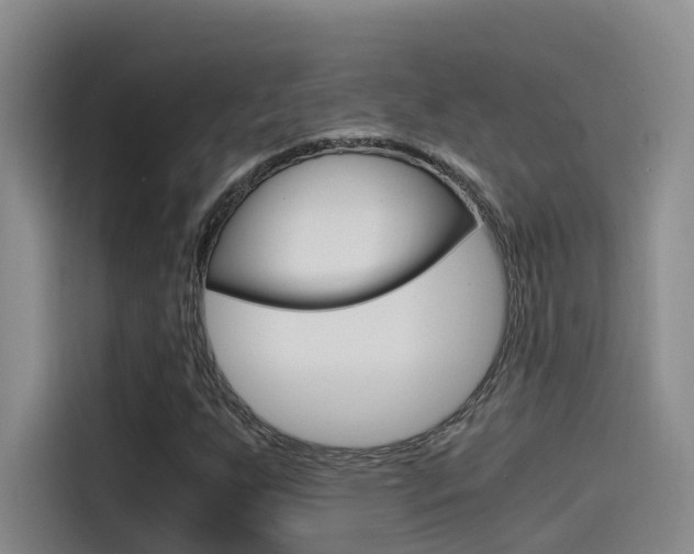 X0000114591255200910191027