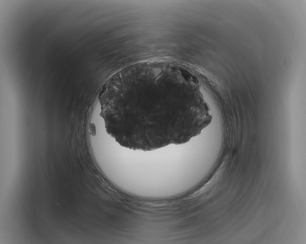 X0000114591257200910191027