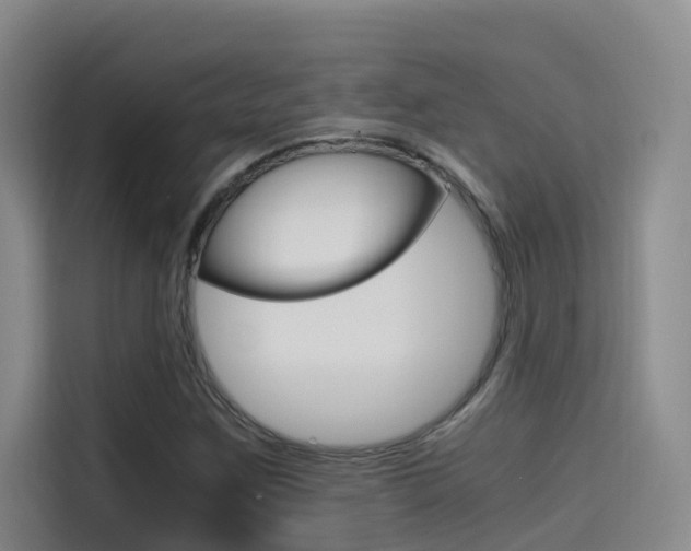 X0000114591259200910191027