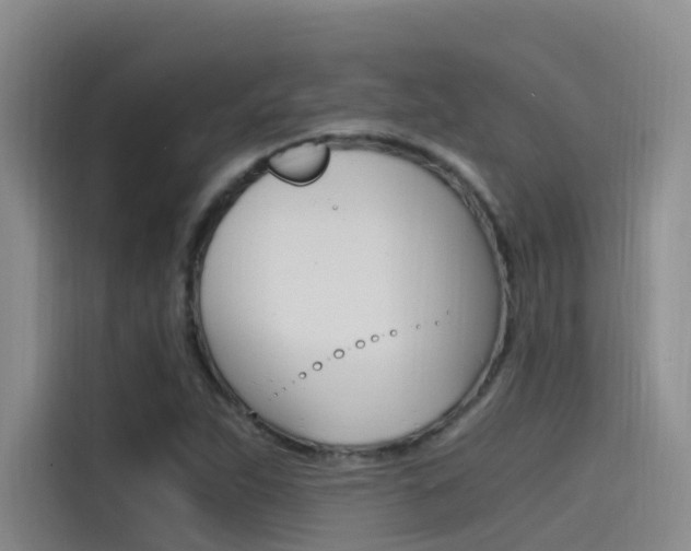 X0000114591263200910191027