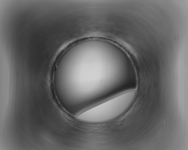 X0000114591264200910191027