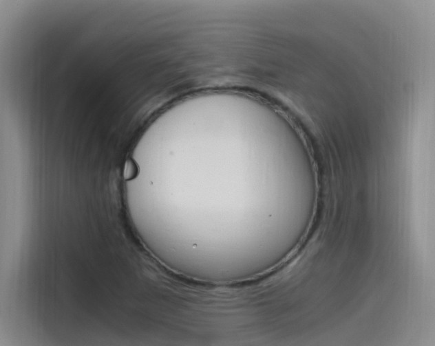 X0000114591265200910191027