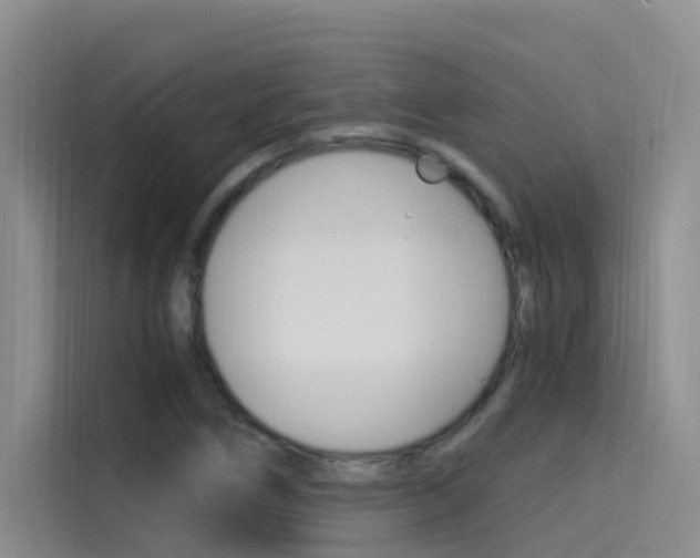 X0000114591266200910191027