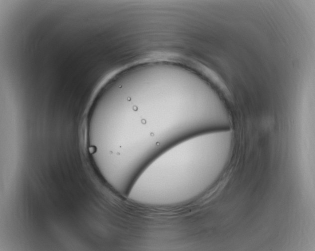 X0000114591275200910191027