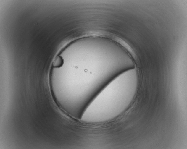X0000114591283200910191027