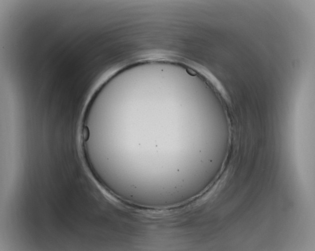 X0000114591285200910191026