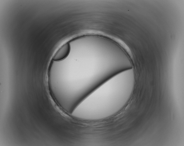 X0000114591287200910191026
