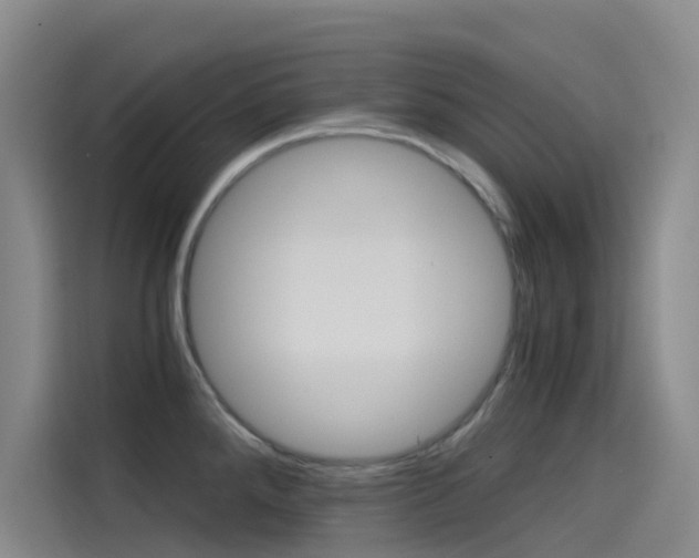 X0000114591288200910191026