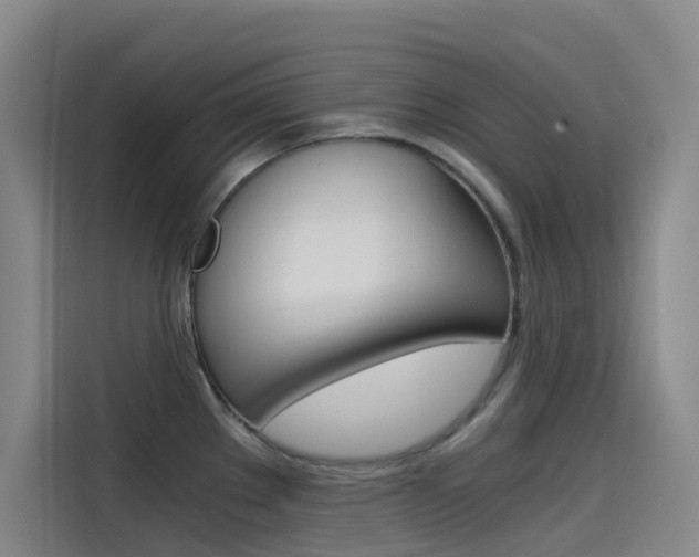 X0000114591289200910191026