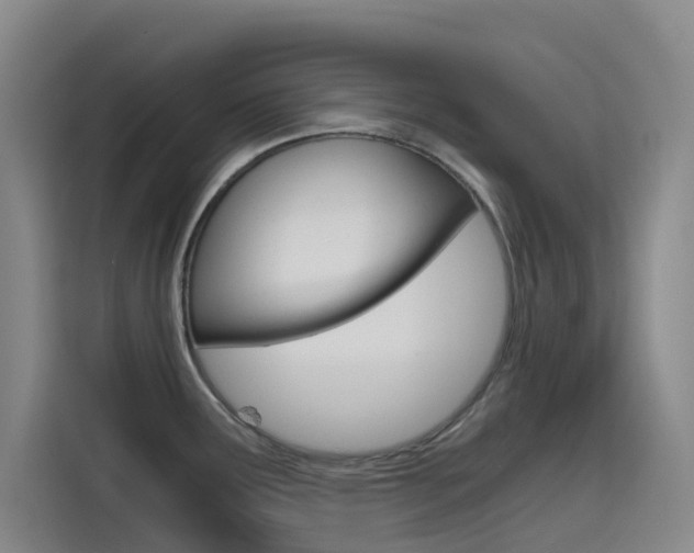X0000114591291200910191026