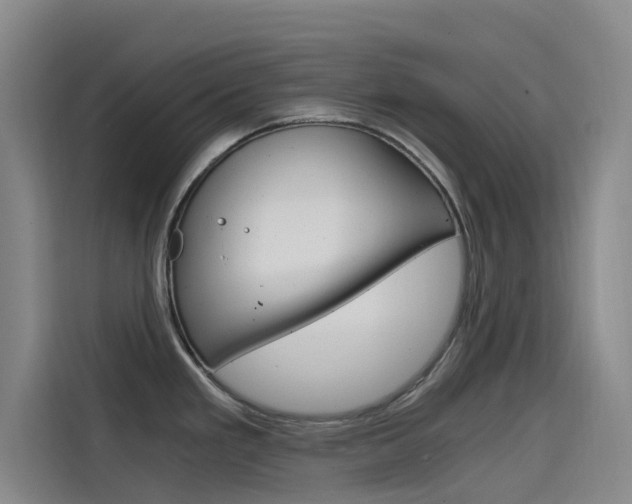 X0000114591293200910191026