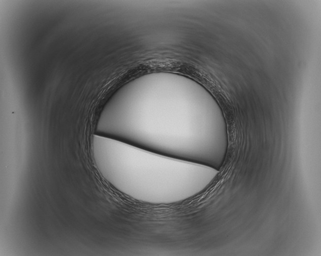 X0000114591297200910191026