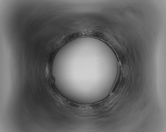 X0000114591298200910191026